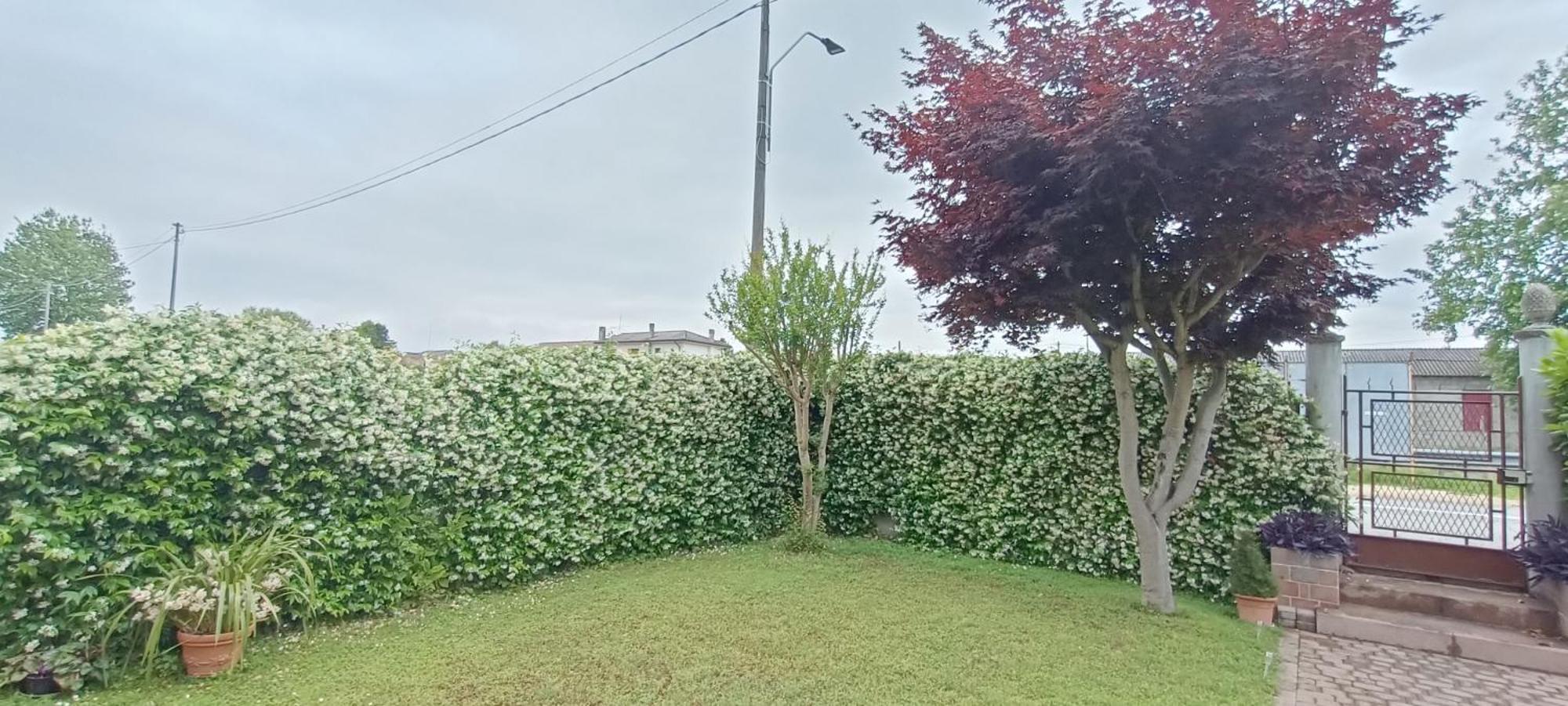 B&B We Care Appartamento Lendinara Kültér fotó